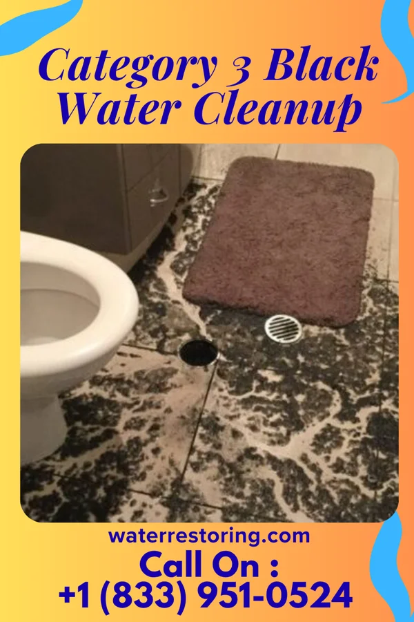 Category 3 Black Water Cleanup in Fleischmanns, NY